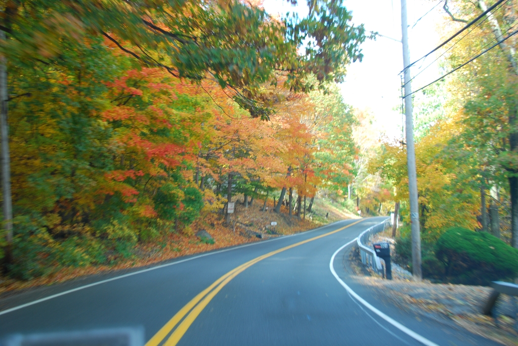DSC_3867.JPG